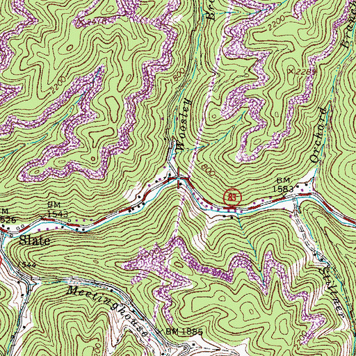 Topographic Map of Woosley Branch, VA