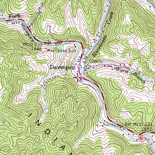 Topographic Map of Worm Branch, VA