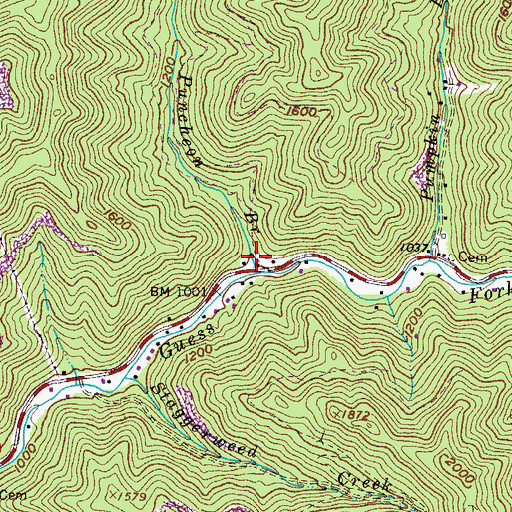 Topographic Map of Pumpkin Branch, VA