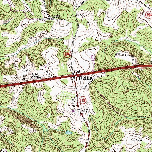Topographic Map of Delila, VA