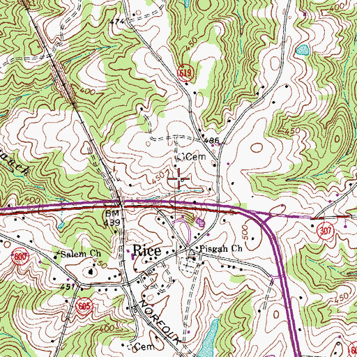 Topographic Map of Rice, VA