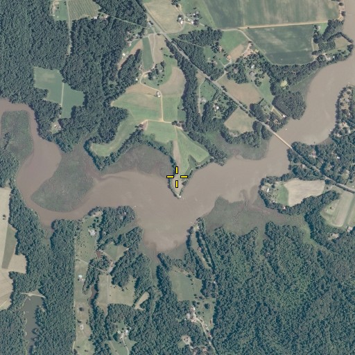 Aerial/Satellite Image of Long Point, VA
