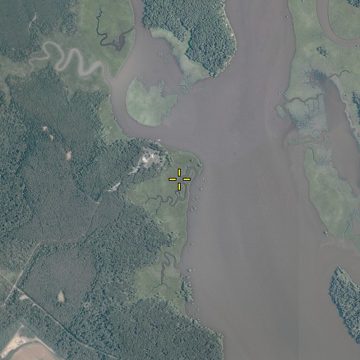 Aerial/Satellite Image of Pig Point, VA