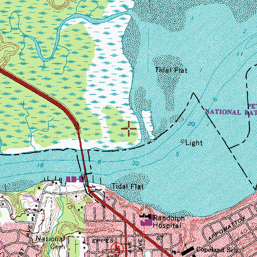 Topographic Map of Buzzard Island, VA
