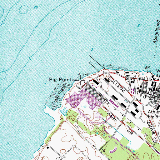 Topographic Map of Big Point, VA