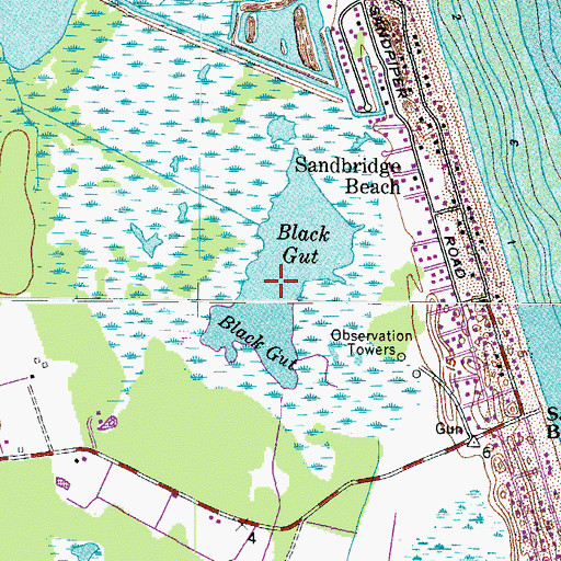 Topographic Map of Black Gut, VA