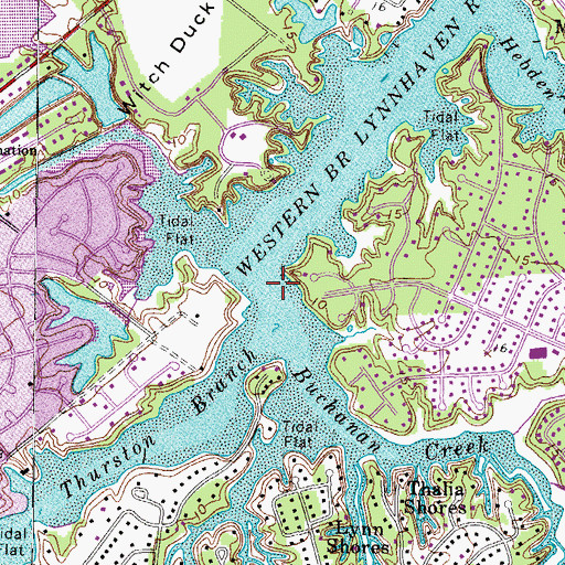 Topographic Map of Buchanan Creek, VA
