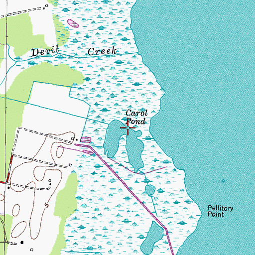Topographic Map of Carol Pond, VA