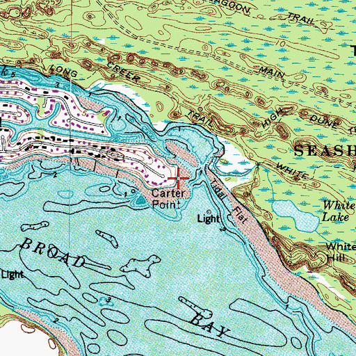 Topographic Map of Carter Point, VA