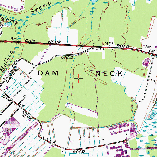 Topographic Map of Dam Neck, VA