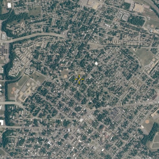 Aerial/Satellite Image of Dickinson School, VA