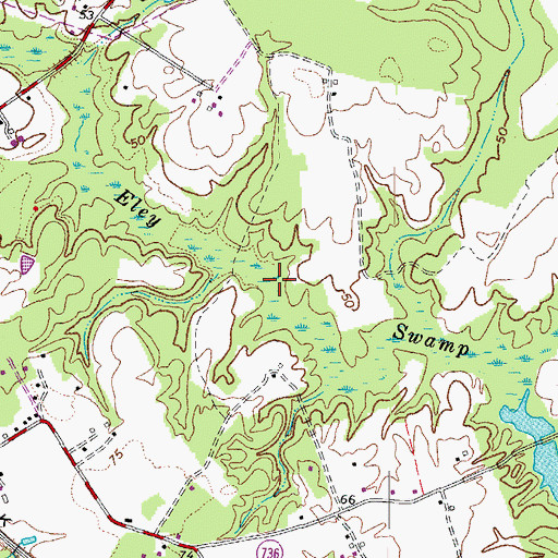 Topographic Map of Eley Swamp, VA