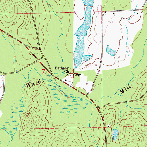 Topographic Map of Bethany Cemetery, AL