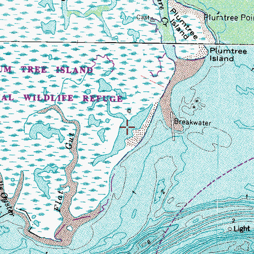 Topographic Map of Flat Gut, VA