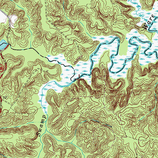 Topographic Map of France Swamp, VA
