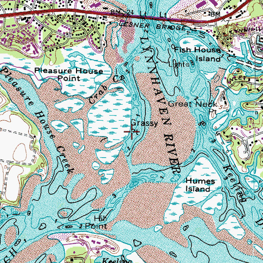 Topographic Map of Grassy Point, VA