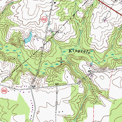 Topographic Map of Kingsale Swamp, VA