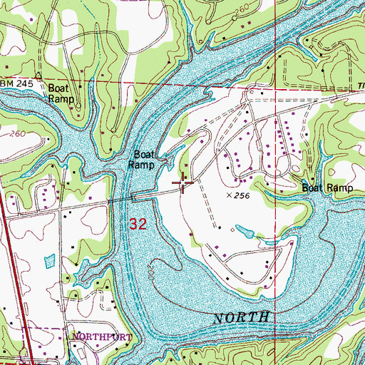 Topographic Map of Bridgeview, AL