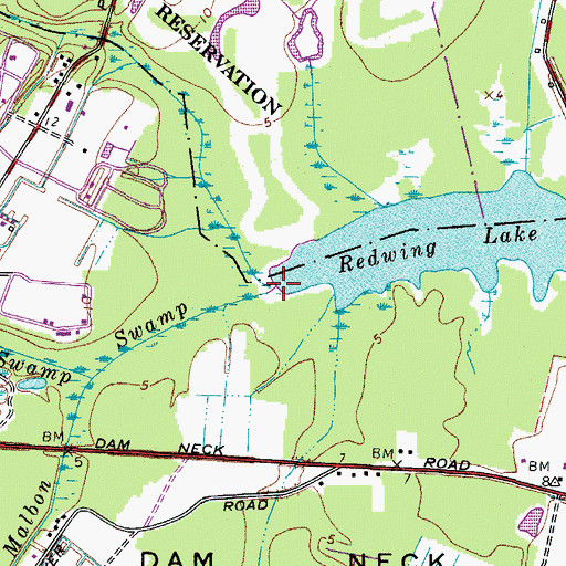 Topographic Map of Malbon Swamp, VA