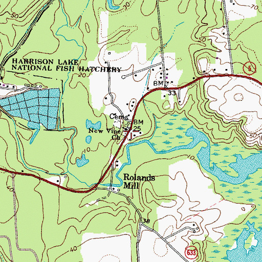 Topographic Map of New Vine Church, VA