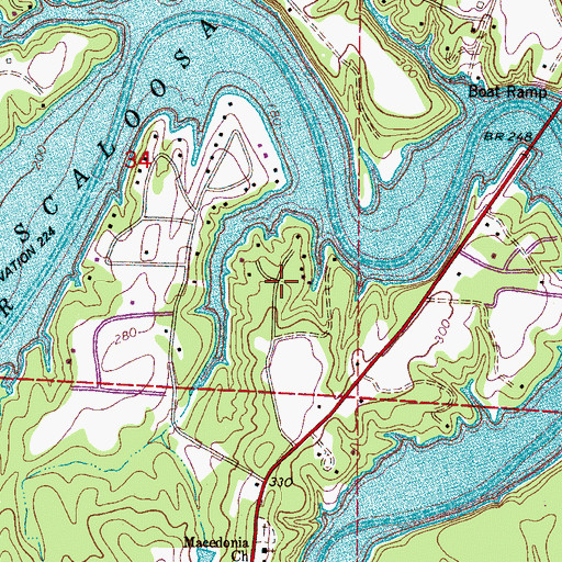 Topographic Map of Burnt Pine, AL