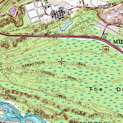Topographic Map of Osmanthus Trail, VA