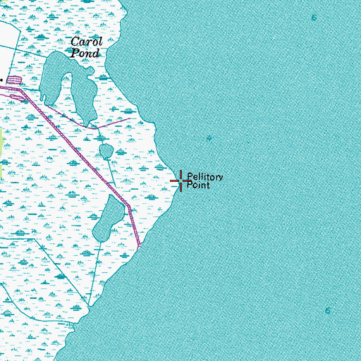 Topographic Map of Pellitory Point, VA