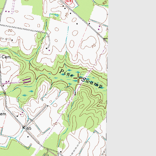 Topographic Map of Pine Swamp, VA