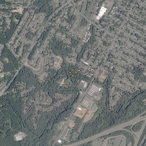 Aerial/Satellite Image of Pollocks Branch, VA