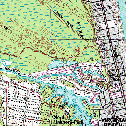 Topographic Map of Rainey Gut, VA