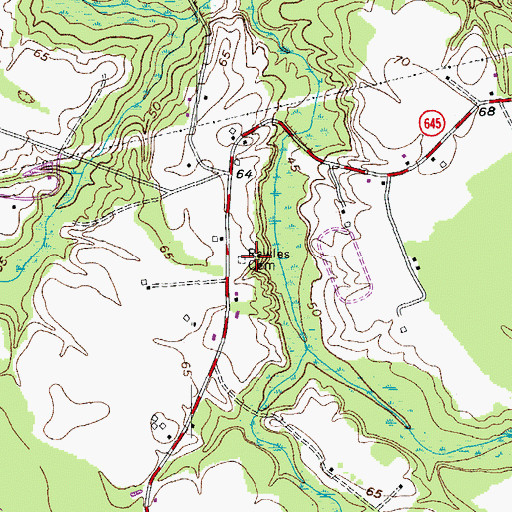 Topographic Map of Rawles Cemetery, VA