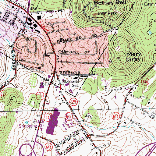 Topographic Map of C F Richards Junior Academy, VA