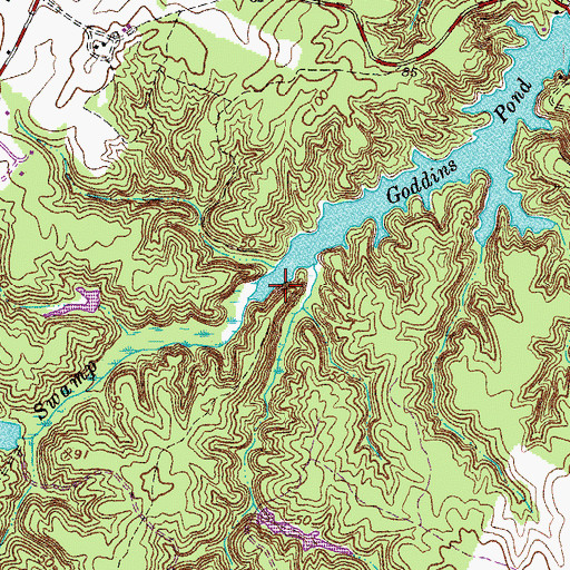 Topographic Map of Richardson Swamp, VA