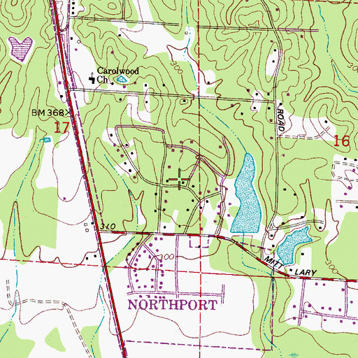 Topographic Map of Carolwood Estates, AL