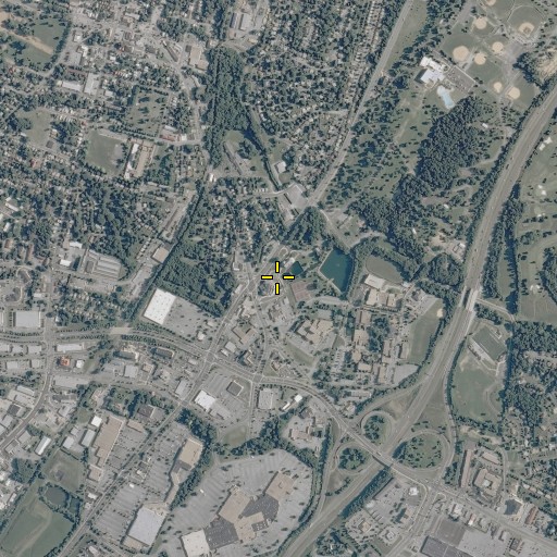 Aerial/Satellite Image of Rouss Spring, VA