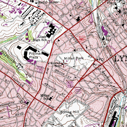 Topographic Map of Snead School, VA