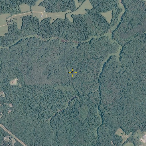 Aerial/Satellite Image of King George County, VA