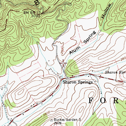 Topographic Map of Alum Spring Hollow, VA