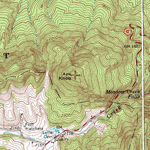 Topographic Map of Aps Knob, VA