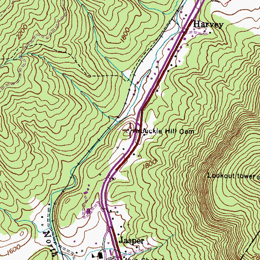 Topographic Map of Arbuckle Hill Cemetery, VA