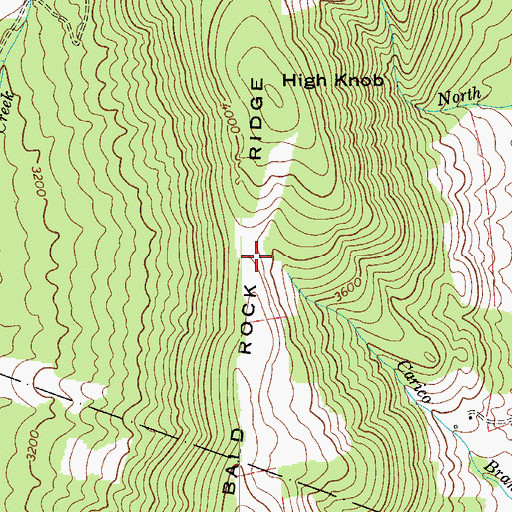Topographic Map of Bald Rock Ridge, VA