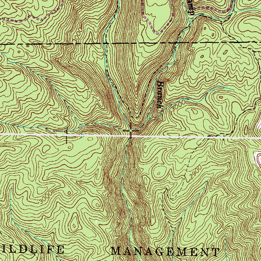Topographic Map of Bark Camp Branch, VA