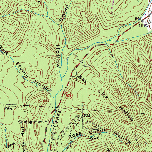 Topographic Map of Bay Lick Hollow, VA