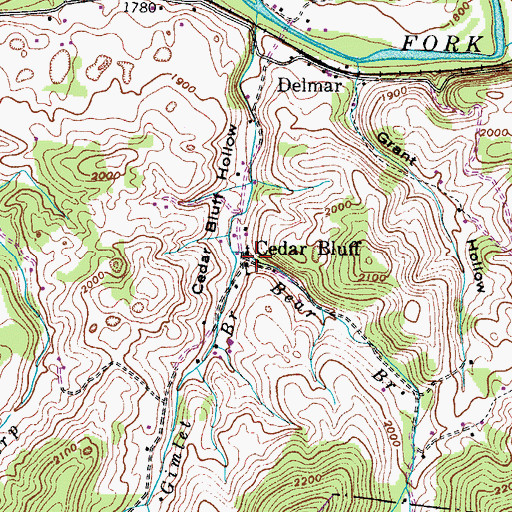 Topographic Map of Bear Branch, VA