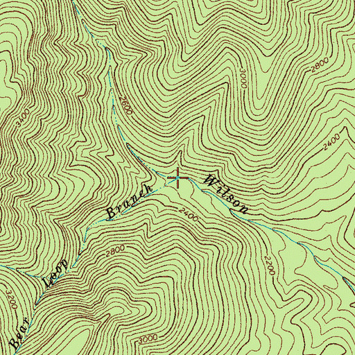 Topographic Map of Bear Loop Branch, VA