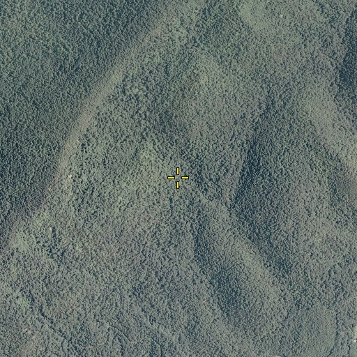 Aerial/Satellite Image of Bear Wallow Trail, VA