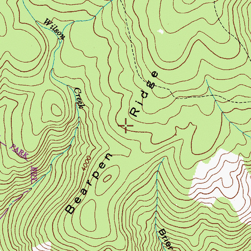 Topographic Map of Bearpen Ridge, VA