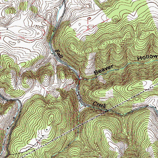 Topographic Map of Beaver Hollow, VA