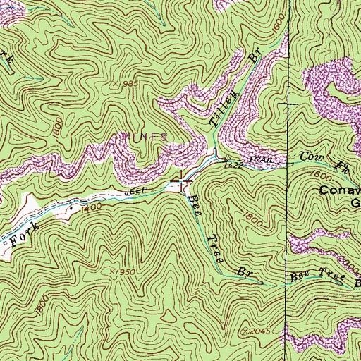 Topographic Map of Bee Tree Branch, VA