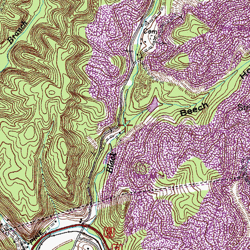 Topographic Map of Beech Hollow, VA